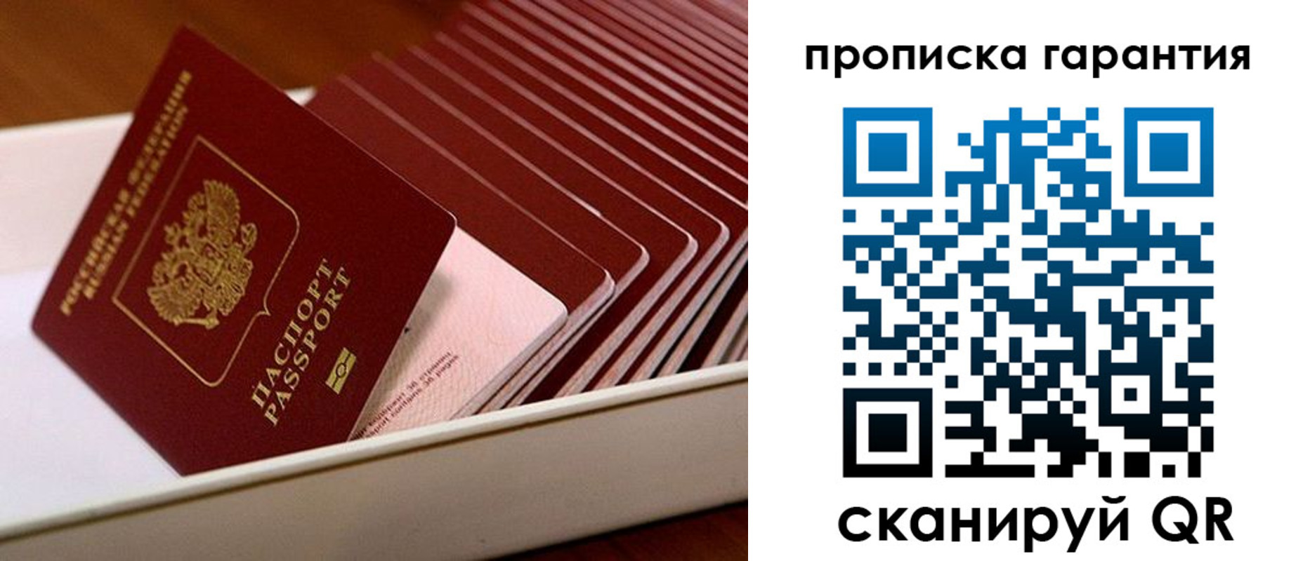 прописка поиск в Чечне